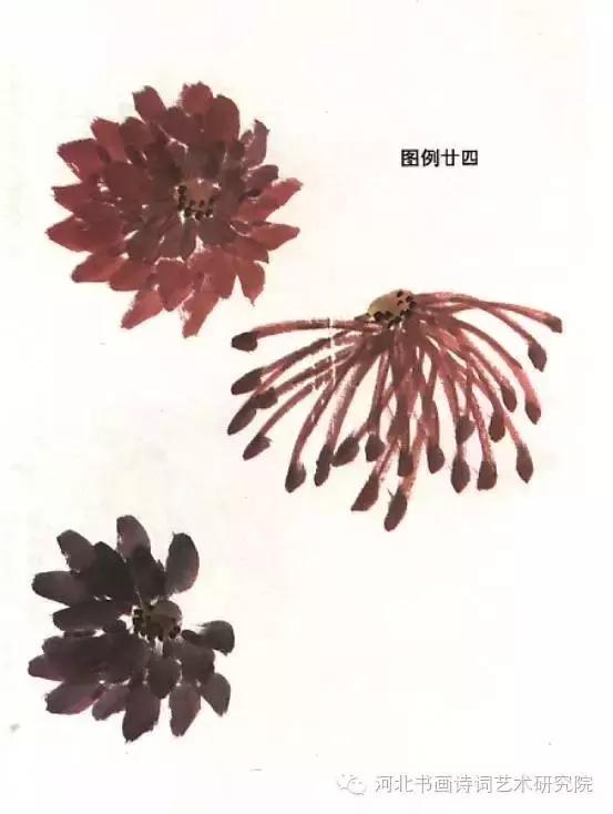 花的画法——菊花的画法，菊花是怎么画（菊花画法大全）