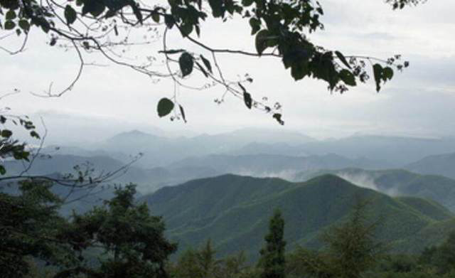 动口又出力猜一个字，动嘴又出力猜个字（脑筋急转弯：十字对十字）