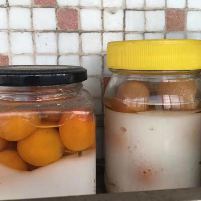 过年家里的年桔为什么不好吃，新年的“盆栽年桔”