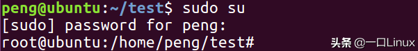 linux压缩命令，linux压缩命令gzip（Linux入门的基础知识点汇总）