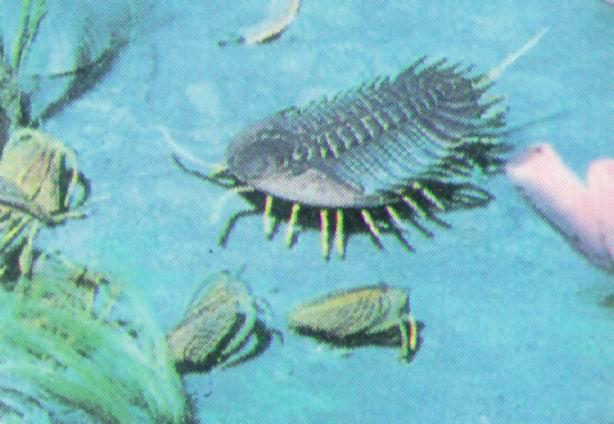 加斯马吐龙是鳄鱼吗，加斯马吐龙（历史上的恐龙时代是怎样的）