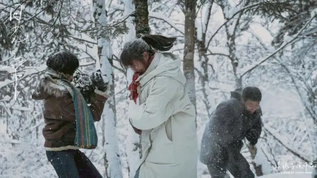 fx组合初智齿，初智齿中文歌词（本届鹿特丹的惊喜和失望）