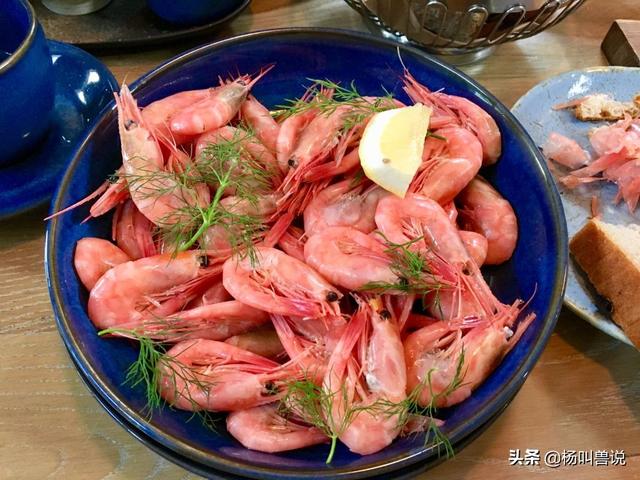 挪威旅游攻略，挪威旅游攻略图（<二>—壮美“万岛之国”挪威旅行游记及攻略）