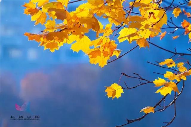 白露是什么时候，白露是几月几号2022年（昼夜等长，今日秋分）