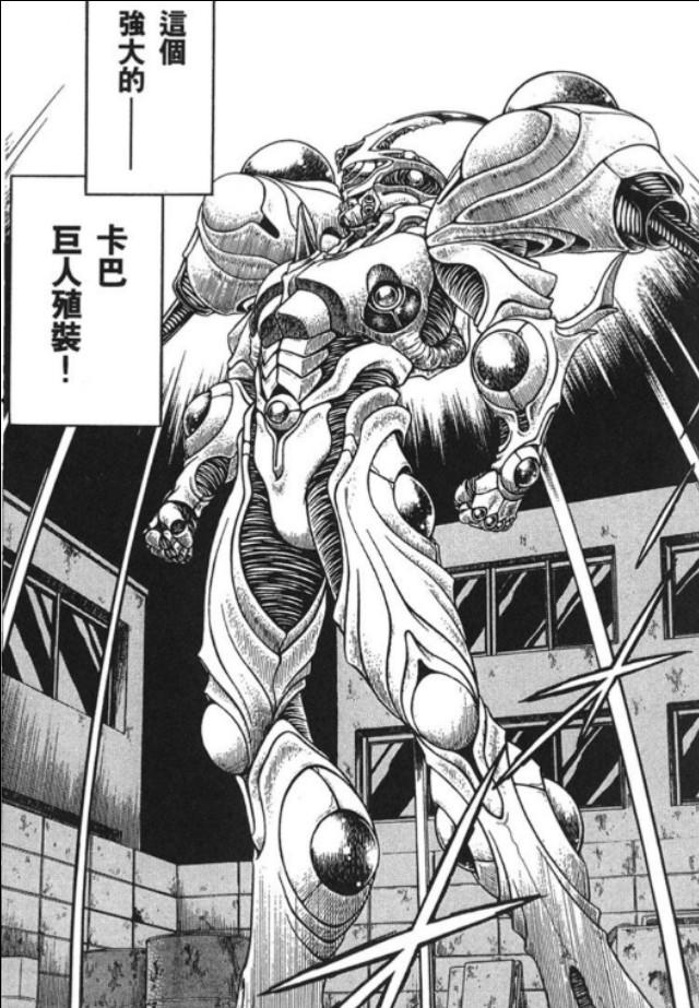 关于殖装体的形态