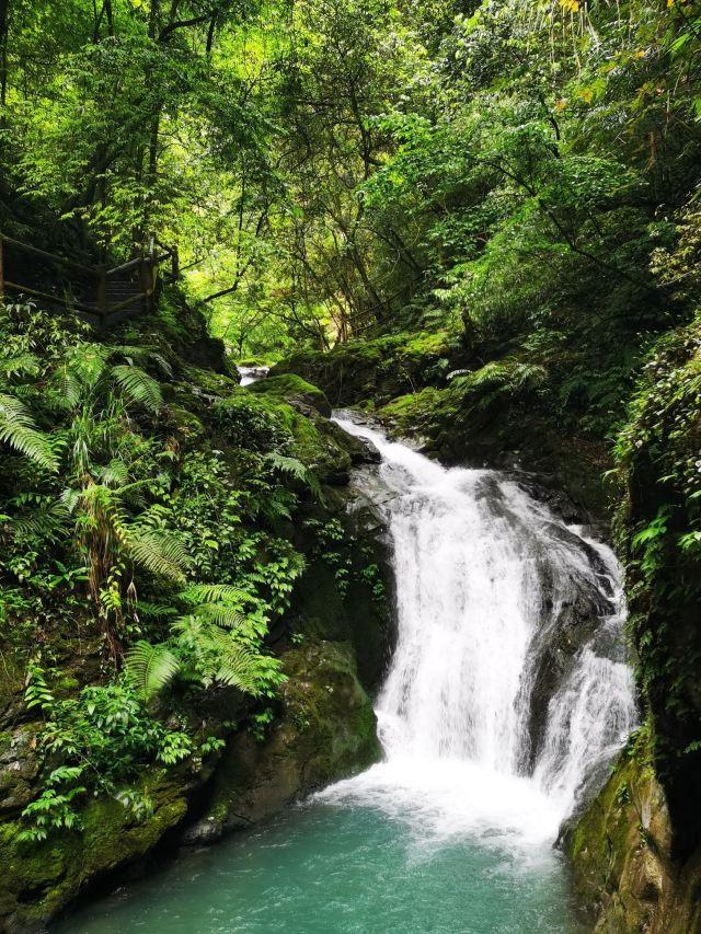 黑山谷自助游攻略最新，黑山谷攻略 自驾游（重庆黑山谷一日游最佳路线）