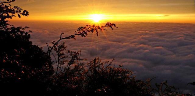 峨眉山有哪些好玩的，峨眉山旅游攻略（四川峨眉山攻略）