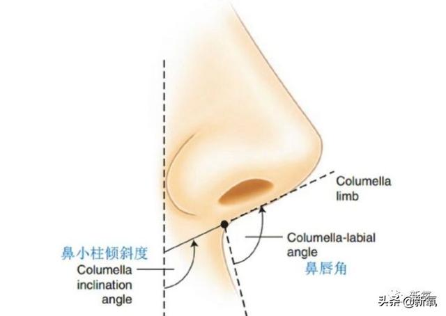 鼻翼收缩前后对比图，娜扎的鼻子怎么就歪掉了