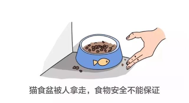 如何做一个定制猫窝，如何制作一个猫窝（看百度工程师研发的流浪猫智能猫窝）