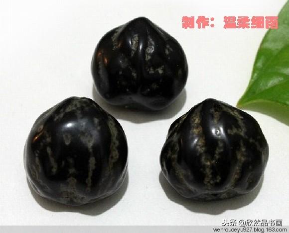 白玉菩提的寓意与作用，白玉菩提寓意什么意思（菩提子种类全图解）