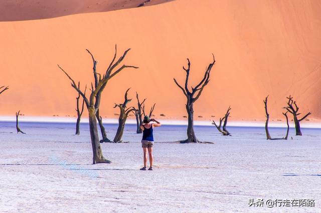 最危险的海滩，最危险的海滩在哪里（全球最危险的海岸）