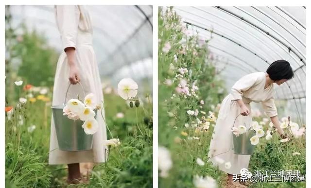 团建项目有哪些，在宿舍的团建项目有哪些（最适合秋天的五大团建项目）