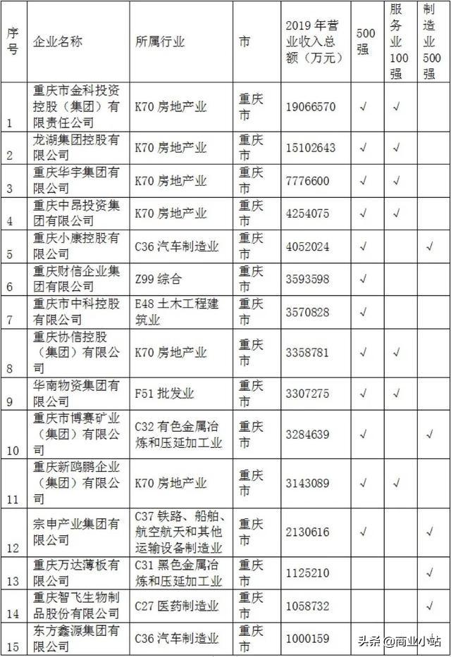 重庆房地产开发公司（重庆富豪榜前十）