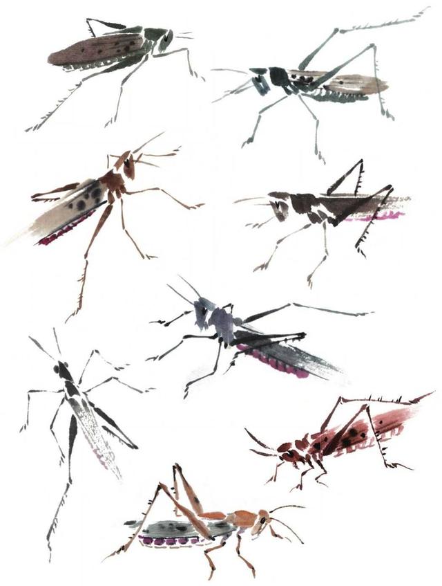 蜻蜓简笔画，蜻蜓简笔画彩色（老艺术家教你几个画法）