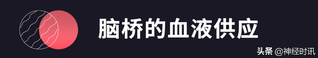 关于脑桥介绍，脑桥包括什么（脑桥的血液供应及病变时的临床表现）