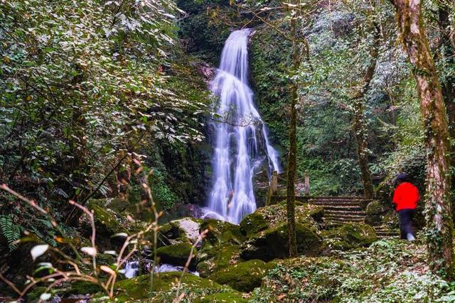 梵净山在哪里呢，梵净山在哪里个省哪个市（北半球最古老的生态乐园）