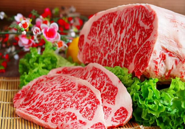 宠物狗可以吃什么，狗最喜欢吃什么（不同阶段的幼犬喂食方法可以参考）