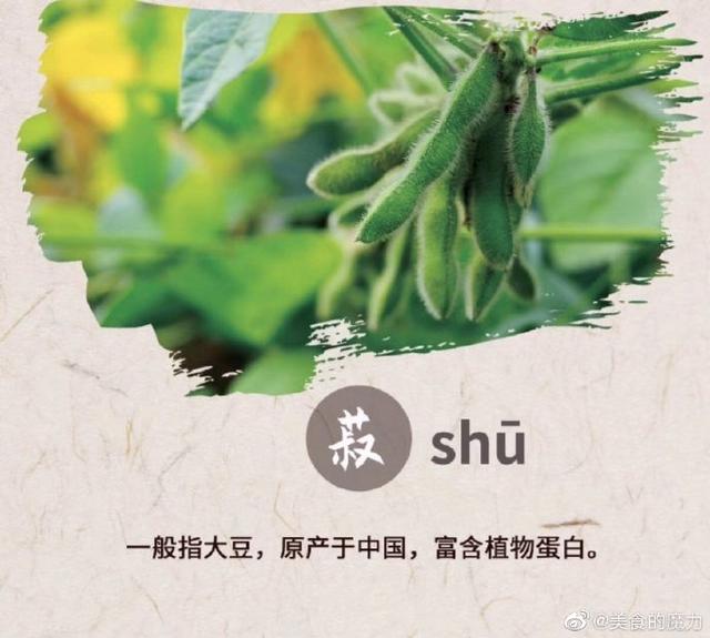 五谷丰登指的是哪五谷，五谷丰登是哪五谷（你知道“五谷丰登”是哪“五谷”吗）