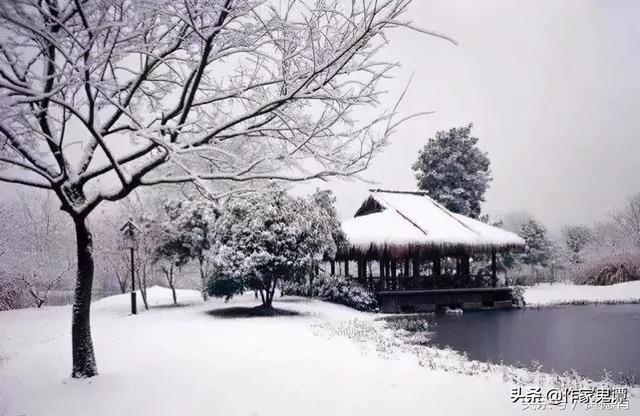 初冬的第一场雪作文5篇，冬天里第一场雪作文（初冬的第一场雪）