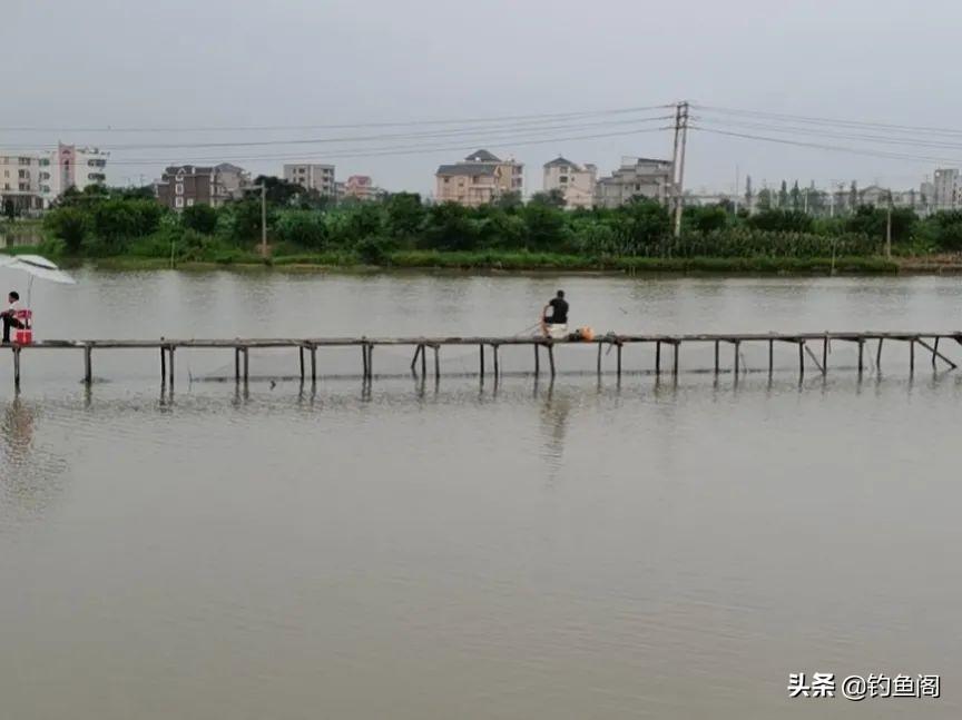 钓具避坑指南：这些装备买了准后悔，附高清图与价格参考