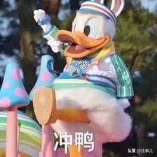 上海迪士尼乐拍通如何使用，上海迪士尼乐拍通电话（教你如何在最短时间玩转迪士尼....）