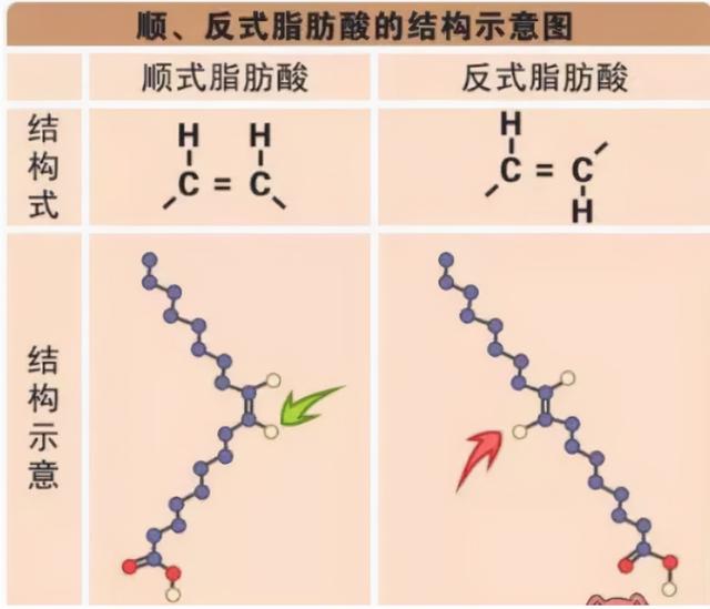 0反式脂肪酸是什么意思，反式脂肪酸0克什么意思（怎么识别零食中的反式脂肪酸）