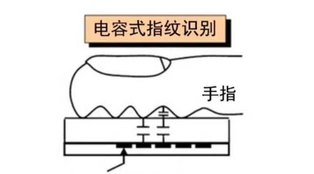 指纹识别的技术是什么，一文看懂三大指纹识别原理