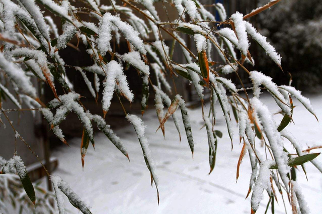 闰月是什么意思，闰月怎么算出来的,有什么规律（为何偏要设立366天的闰年）
