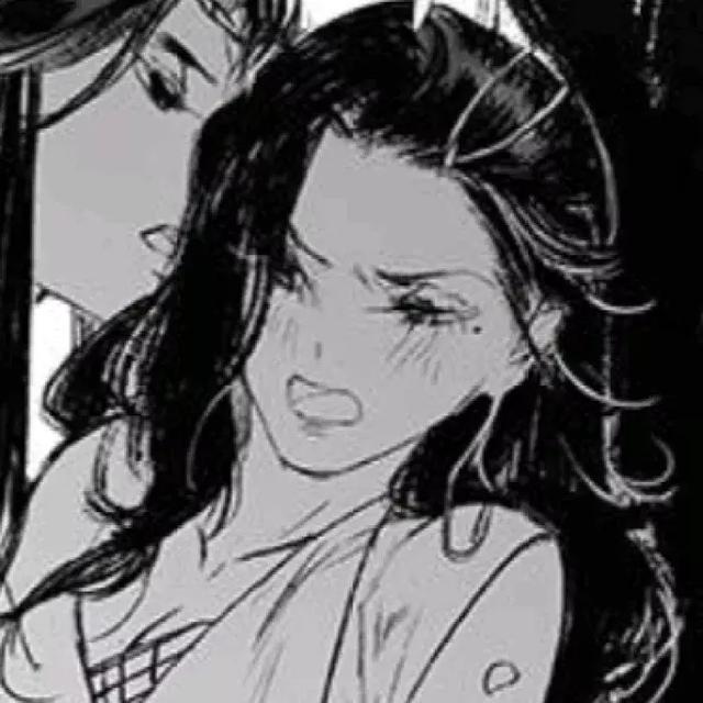 慕辞网名，慕辞（我与春风皆过客）