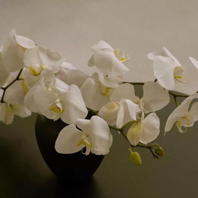 遇见即是上上签// 微信背景图‖ins风‖复古‖唯美＃.，遇见即是上上签,放弃属实下下签（朋友圈背景图‖“遇见即是上上签”）