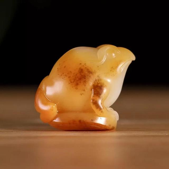 金蟾的寓意是什么，黑色金蟾的寓意是什么（如何在招财届里拥有一席之地）