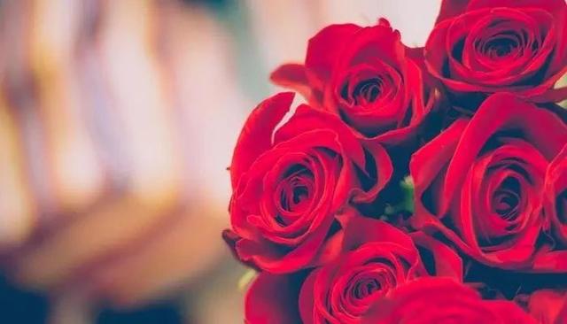 月季花的寓意和象征，月季花的寓意和象征花语（这9种生活中常见的烂漫之花）