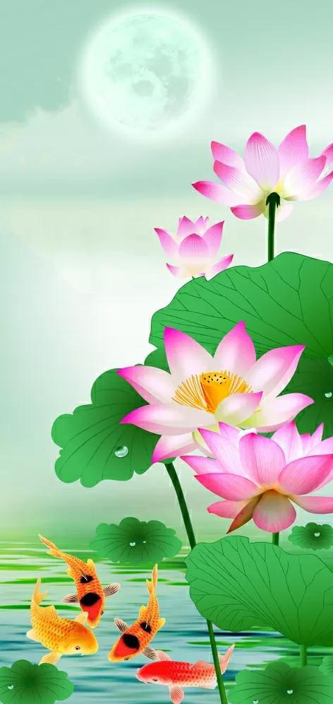 全屏手机壁纸，苹果手机动态壁纸下载 免费 全屏（36张精美无字迹图片）