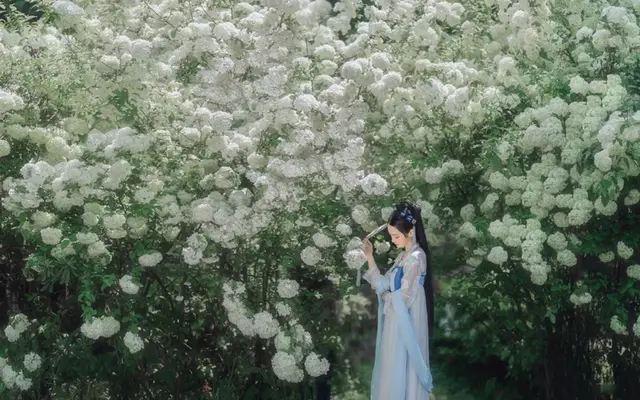 星河滚烫你是人间理想什么意思，星河滚烫你是人间理想是什么意思（星河滚烫，你是人间理想）