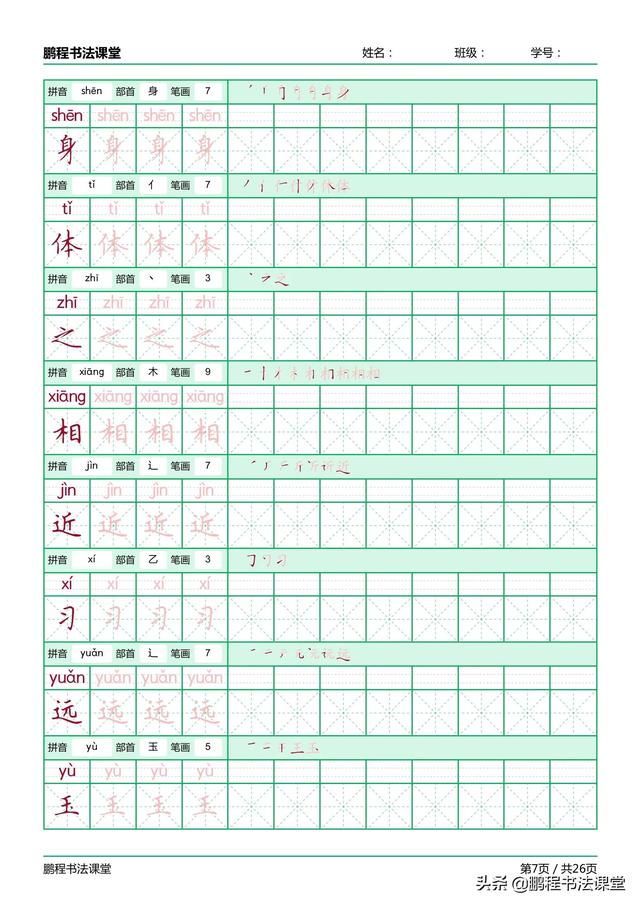 树字笔顺笔画，树在田字格里怎么写（精心制作部编版书写练习）