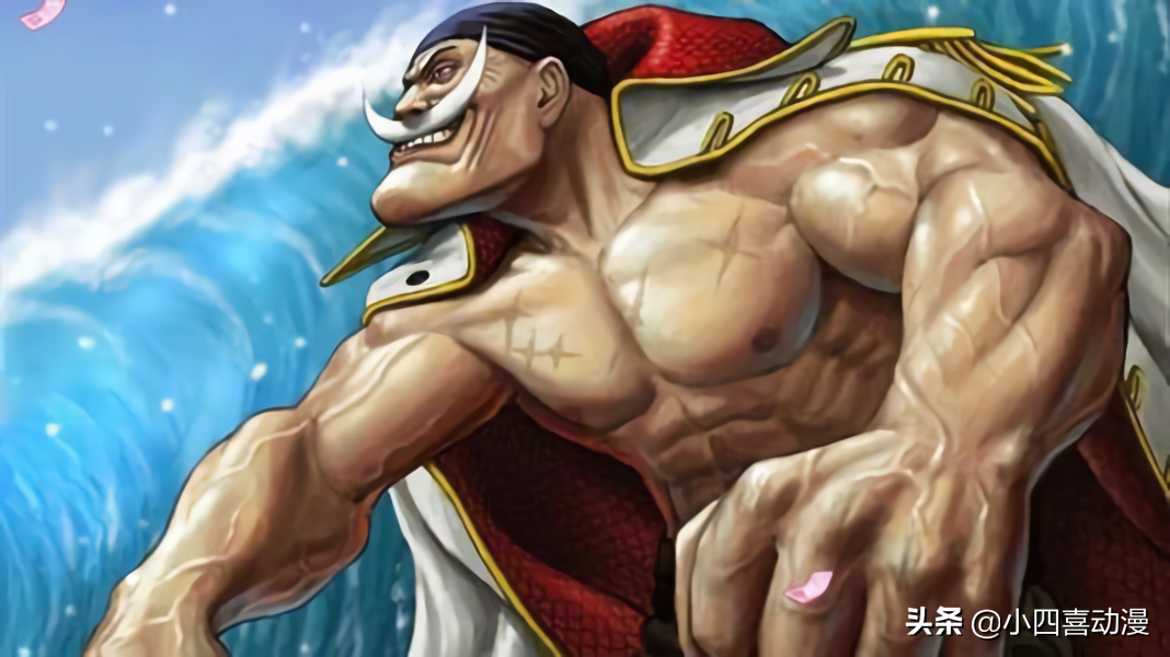 海贼王中四大肌肉男,索隆s级,白胡子ss级,他却是sss级