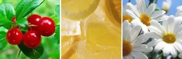 bb霜补水(养肤bb霜)