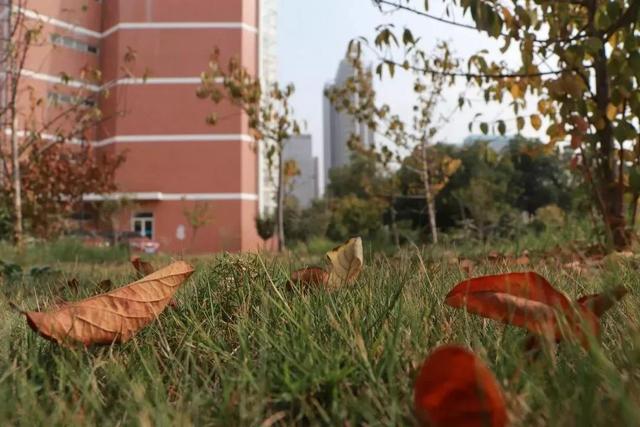 安徽三联学院地址，安徽三联学院怎么样好不好全国排名第几（<三十三>安徽三联学院）