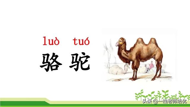 什么的骏马填空成语，什么的骏马填合适的成语（部编版小学语文二年级上册《语文园地七》重点知识+图文解读）