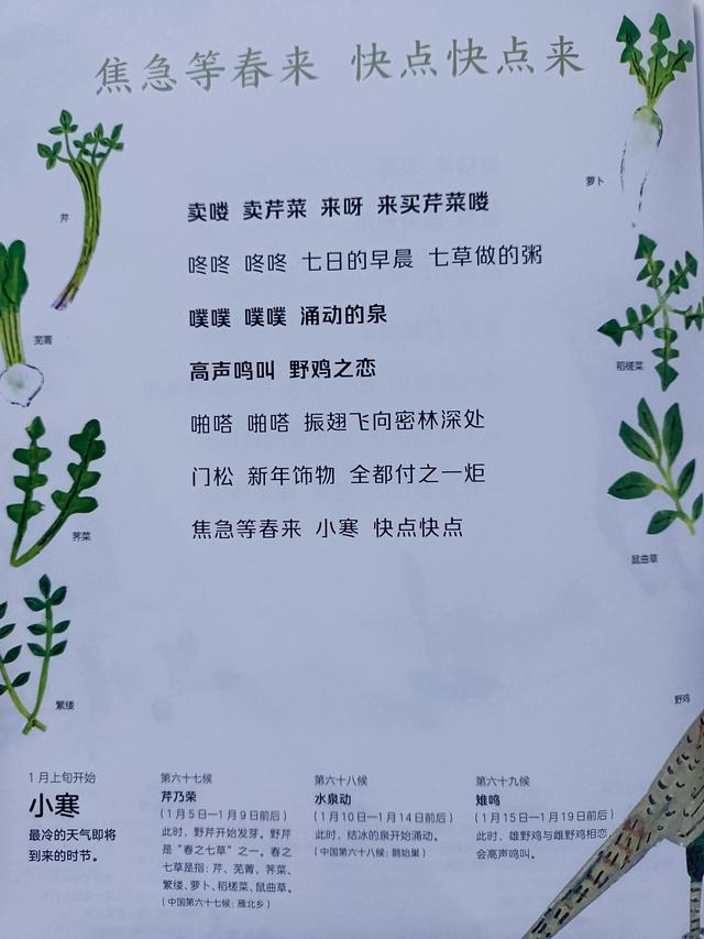 四季是按什么划分的，四季是如何划分（一年四季二十四节气）