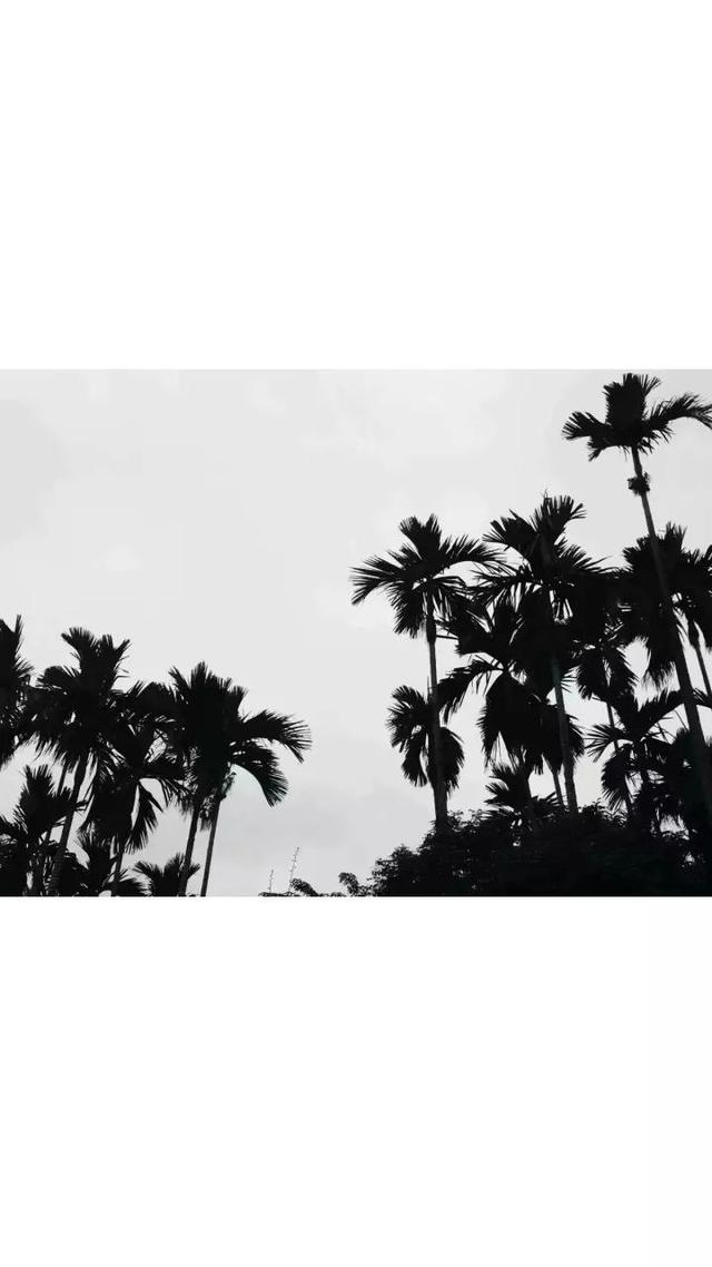 动漫帅哥美女图片，帅哥美女杂图（图王鲨鱼哥第33期33套微信头像加背景图）