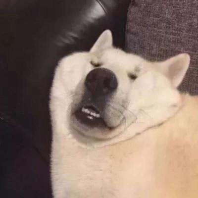 吊炸天搞笑的群名，搞笑群名能笑死人的（逗比群昵称搞笑沙雕-可爱点）