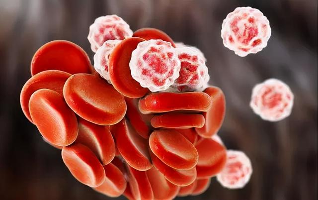 吃什么补血 补血的三个食品，吃什么补血（还要注意多吃这4种补血食物）