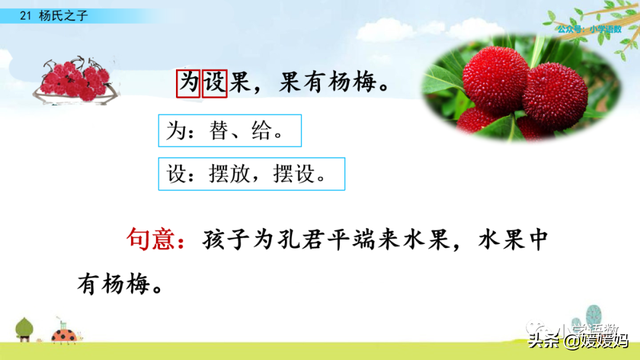 为设果下一句是什么，为设果什么意思（五年级下册语文第21课《杨氏之子》图文详解及同步练习）