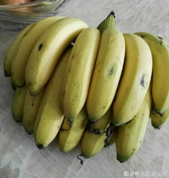 水果种类，水果种类释迦果（秋天吃正是好时候）