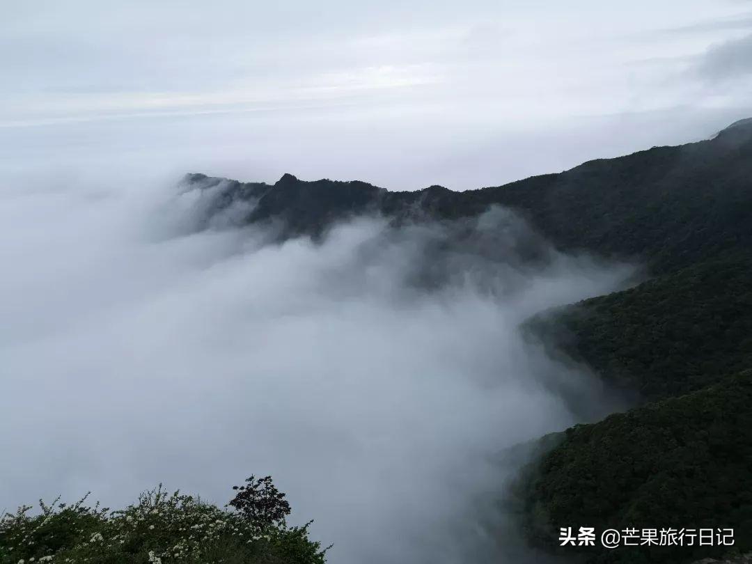 贵州梵净山门票多少钱一张，梵净山门票多少钱一张（梵净山被称为“贵州第一山”）