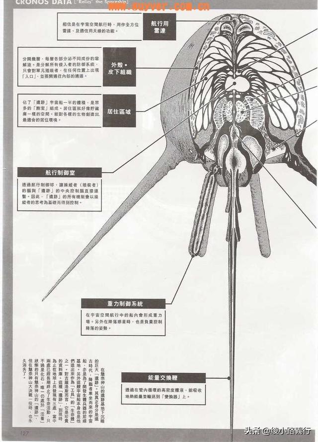 dc超人等级的划分，人在漫威,开局化身金色超人（初中追的漫画儿子上初中还没完结）