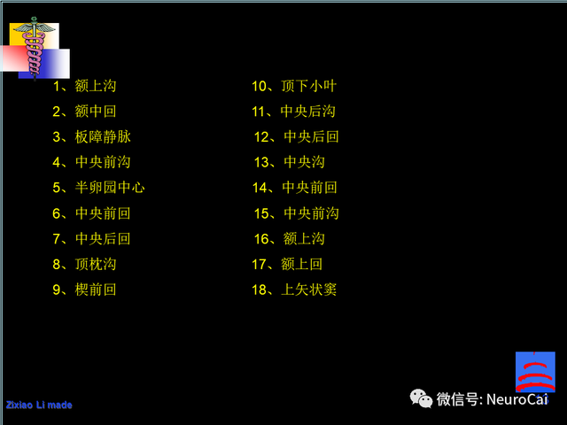 大脑结构图及功能图，人类大脑十大三维解剖图（脑局部解剖与功能图谱）