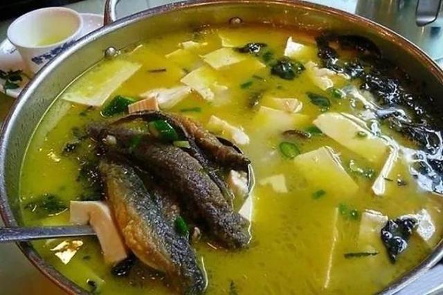 泥鳅钻豆腐的做法，泥鳅怎么做最好吃（为什么很多地方将其做成了“泥鳅炖豆腐”）