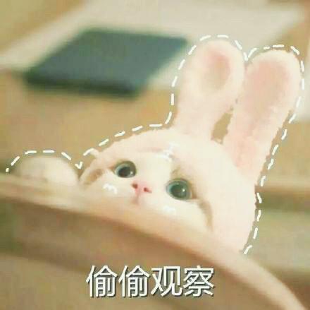 猫咪表情包大全图，可爱的猫咪表情包合集